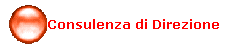 Consulenza di Direzione